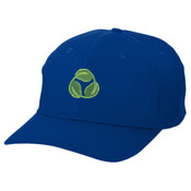 ADULT, Baseball Cap LEAF_2 Color